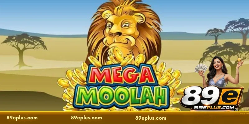 Basic rules of Mega Moolah at 89E you need to know