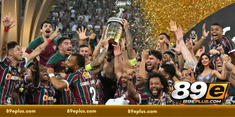 The role of monitoring Copa Libertadores odds